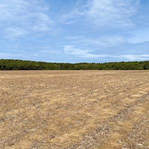 Photo #27 of SOLD property in Off Kegotank Rd, Nelsonia, VA 195.0 acres
