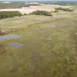 Photo #28 of SOLD property in Off Kegotank Rd, Nelsonia, VA 195.0 acres