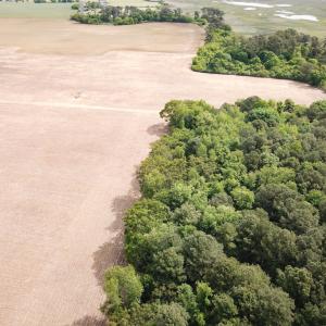 Photo #30 of SOLD property in Off Kegotank Rd, Nelsonia, VA 195.0 acres