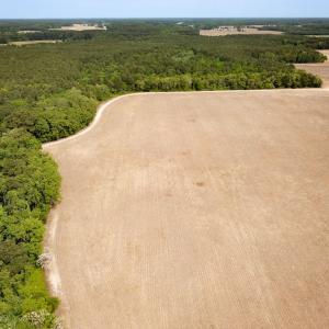 Photo #32 of SOLD property in Off Kegotank Rd, Nelsonia, VA 195.0 acres