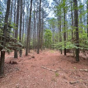 Photo #33 of SOLD property in Off Kegotank Rd, Nelsonia, VA 195.0 acres