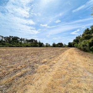 Photo #34 of SOLD property in Off Kegotank Rd, Nelsonia, VA 195.0 acres