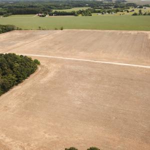 Photo #35 of SOLD property in Off Kegotank Rd, Nelsonia, VA 195.0 acres