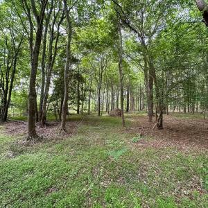 Photo #36 of SOLD property in Off Kegotank Rd, Nelsonia, VA 195.0 acres