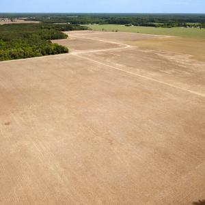 Photo #37 of SOLD property in Off Kegotank Rd, Nelsonia, VA 195.0 acres