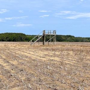 Photo #38 of SOLD property in Off Kegotank Rd, Nelsonia, VA 195.0 acres