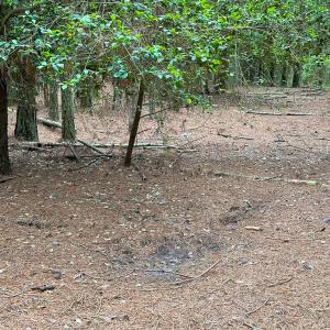 Photo #39 of SOLD property in Off Kegotank Rd, Nelsonia, VA 195.0 acres