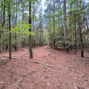 Photo #40 of SOLD property in Off Kegotank Rd, Nelsonia, VA 195.0 acres