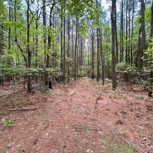 Photo #4 of SOLD property in Off Kegotank Rd, Nelsonia, VA 10.5 acres