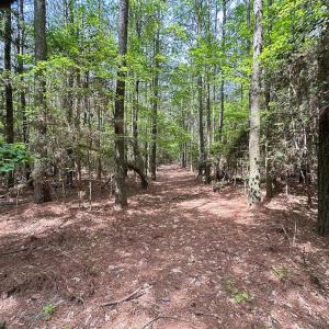 Photo #5 of SOLD property in Off Kegotank Rd, Nelsonia, VA 10.5 acres