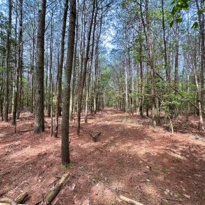 Photo #7 of SOLD property in Off Kegotank Rd, Nelsonia, VA 10.5 acres