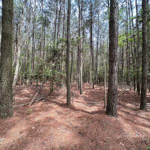 Photo #9 of SOLD property in Off Kegotank Rd, Nelsonia, VA 10.5 acres