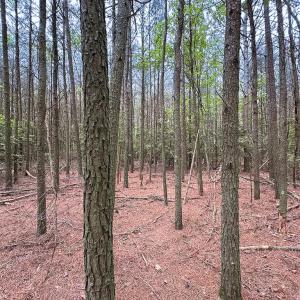 Photo #13 of SOLD property in Off Kegotank Rd, Nelsonia, VA 10.5 acres
