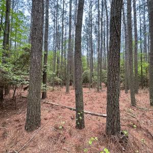 Photo #17 of SOLD property in Off Kegotank Rd, Nelsonia, VA 10.5 acres