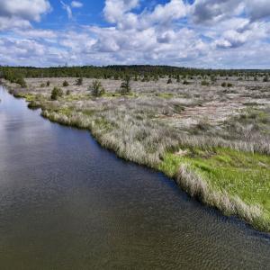 Photo #11 of SOLD property in Off NC 304, Hobucken, NC 9.0 acres