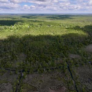 Photo #16 of SOLD property in Off NC 304, Hobucken, NC 9.0 acres