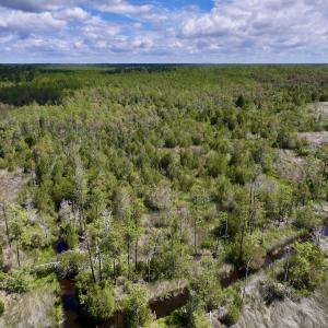 Photo #18 of SOLD property in Off NC 304, Hobucken, NC 9.0 acres
