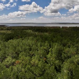 Photo #4 of SOLD property in Off NC 304, Hobucken, NC 9.0 acres