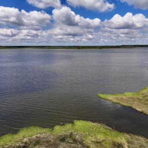Photo #8 of SOLD property in Off NC 304, Hobucken, NC 9.0 acres
