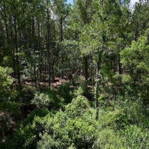 Photo #25 of SOLD property in Off NC 304, Hobucken, NC 9.0 acres