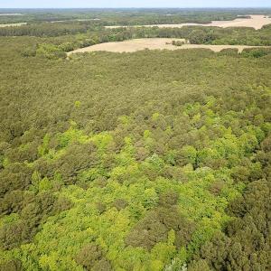 Photo #2 of SOLD property in Lot 2 - Off Kegotank Rd, Nelsonia, VA 1.8 acres