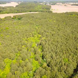 Photo #3 of SOLD property in Lot 2 - Off Kegotank Rd, Nelsonia, VA 1.8 acres