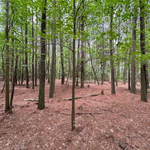 Photo #4 of SOLD property in Lot 2 - Off Kegotank Rd, Nelsonia, VA 1.8 acres