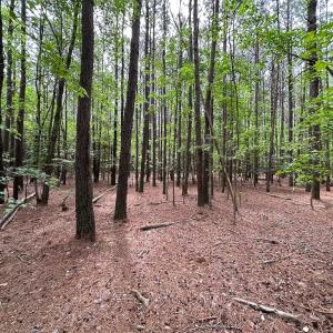 Photo #6 of SOLD property in Lot 2 - Off Kegotank Rd, Nelsonia, VA 1.8 acres