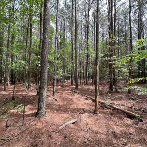 Photo #10 of SOLD property in Lot 2 - Off Kegotank Rd, Nelsonia, VA 1.8 acres