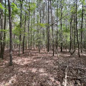 Photo #13 of SOLD property in Lot 2 - Off Kegotank Rd, Nelsonia, VA 1.8 acres