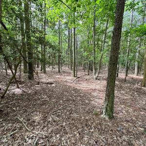 Photo #14 of SOLD property in Lot 2 - Off Kegotank Rd, Nelsonia, VA 1.8 acres