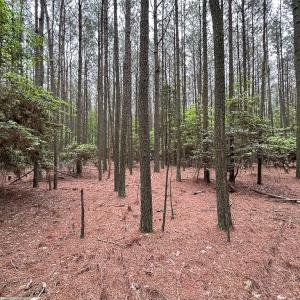 Photo #15 of SOLD property in Lot 2 - Off Kegotank Rd, Nelsonia, VA 1.8 acres