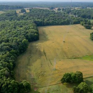 Photo #12 of SOLD property in 12987 Mission Church Road, Locust, NC 65.5 acres