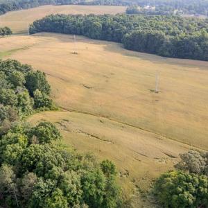 Photo #14 of SOLD property in 12987 Mission Church Road, Locust, NC 65.5 acres