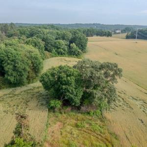 Photo #15 of SOLD property in 12987 Mission Church Road, Locust, NC 65.5 acres