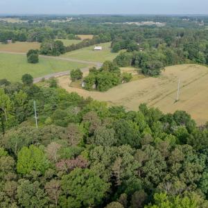 Photo #3 of SOLD property in 12987 Mission Church Road, Locust, NC 65.5 acres