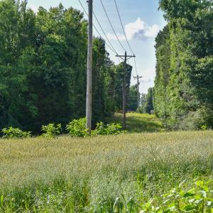 Photo #18 of SOLD property in 12987 Mission Church Road, Locust, NC 65.5 acres