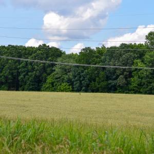Photo #20 of SOLD property in 12987 Mission Church Road, Locust, NC 65.5 acres