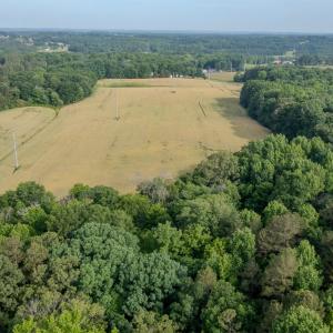 Photo #4 of SOLD property in 12987 Mission Church Road, Locust, NC 65.5 acres