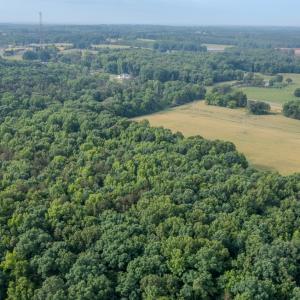 Photo #5 of SOLD property in 12987 Mission Church Road, Locust, NC 65.5 acres