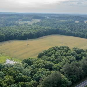 Photo #6 of SOLD property in 12987 Mission Church Road, Locust, NC 65.5 acres