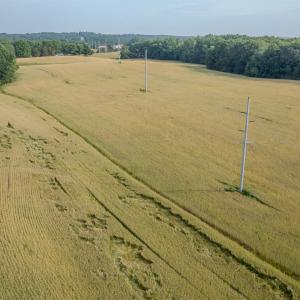 Photo #7 of SOLD property in 12987 Mission Church Road, Locust, NC 65.5 acres