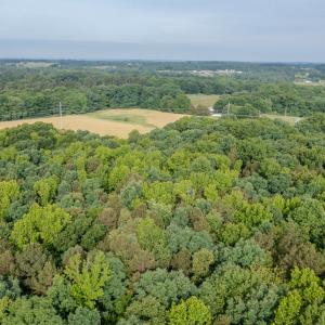 Photo #10 of SOLD property in 12987 Mission Church Road, Locust, NC 65.5 acres