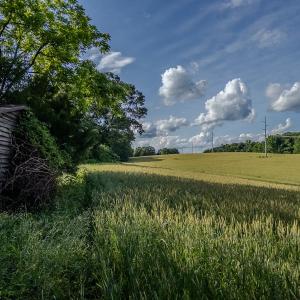 Photo #23 of SOLD property in 12987 Mission Church Road, Locust, NC 65.5 acres