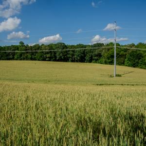 Photo #25 of SOLD property in 12987 Mission Church Road, Locust, NC 65.5 acres