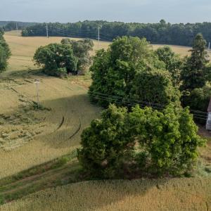 Photo #27 of SOLD property in 12987 Mission Church Road, Locust, NC 65.5 acres
