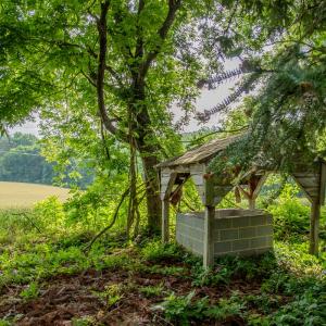 Photo #28 of SOLD property in 12987 Mission Church Road, Locust, NC 65.5 acres