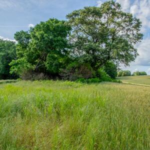 Photo #29 of SOLD property in 12987 Mission Church Road, Locust, NC 65.5 acres