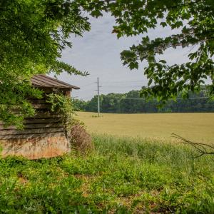 Photo #30 of SOLD property in 12987 Mission Church Road, Locust, NC 65.5 acres