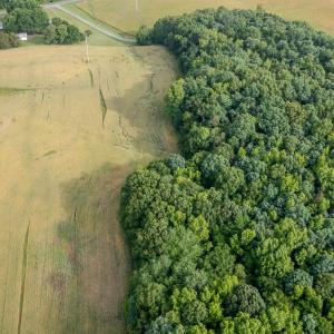 Photo #35 of SOLD property in 12987 Mission Church Road, Locust, NC 65.5 acres